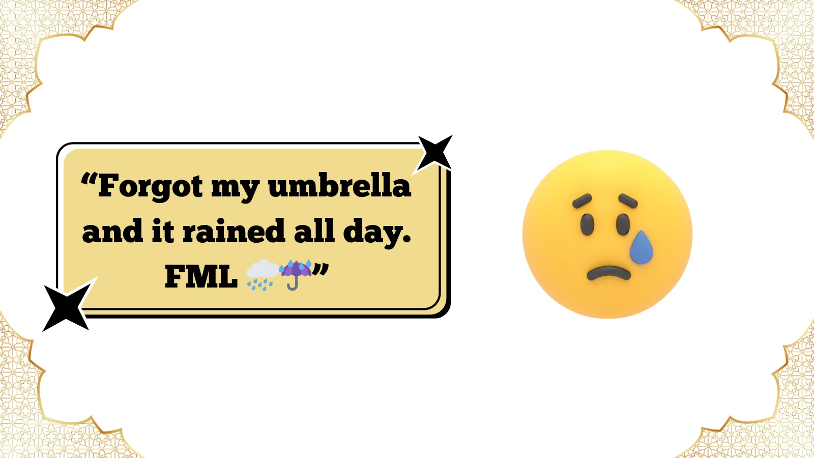 fml meaning in text