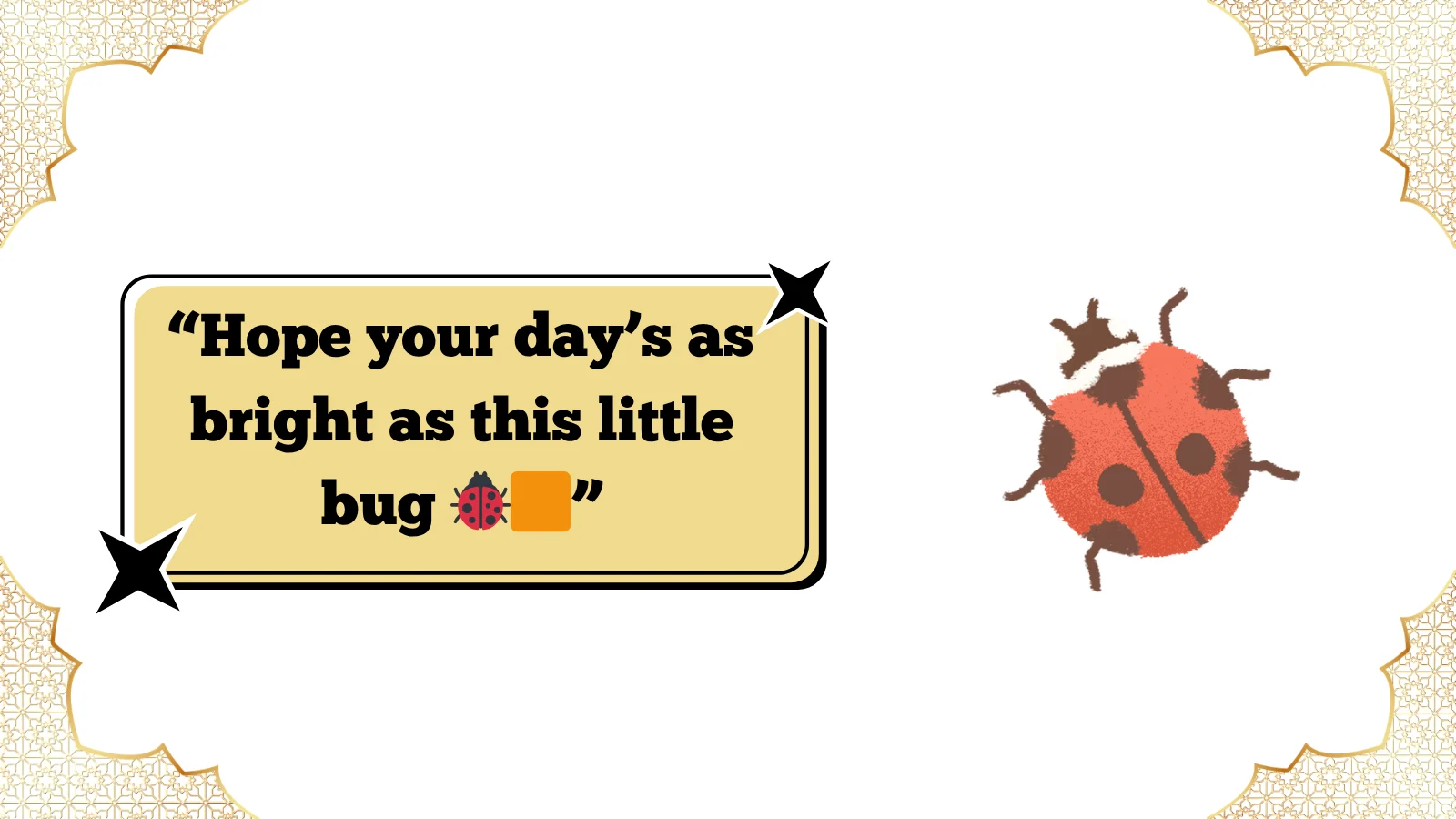 orange ladybug meaning