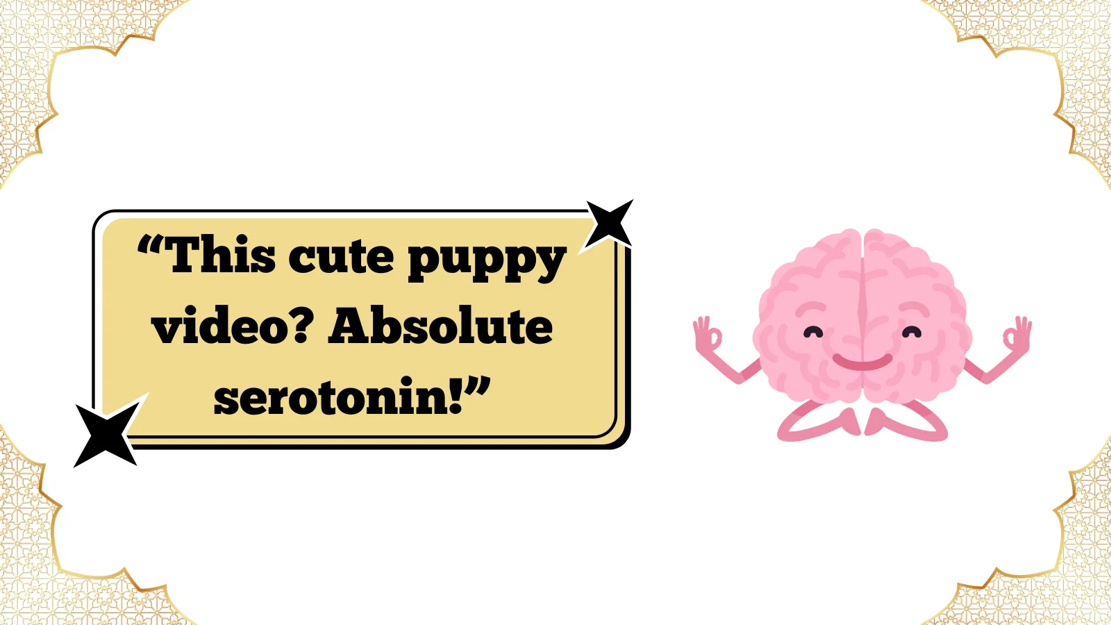 Serotonin Meaning Guide That Will Boost Your Mood